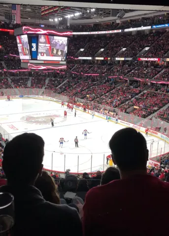 The team at a hockey game